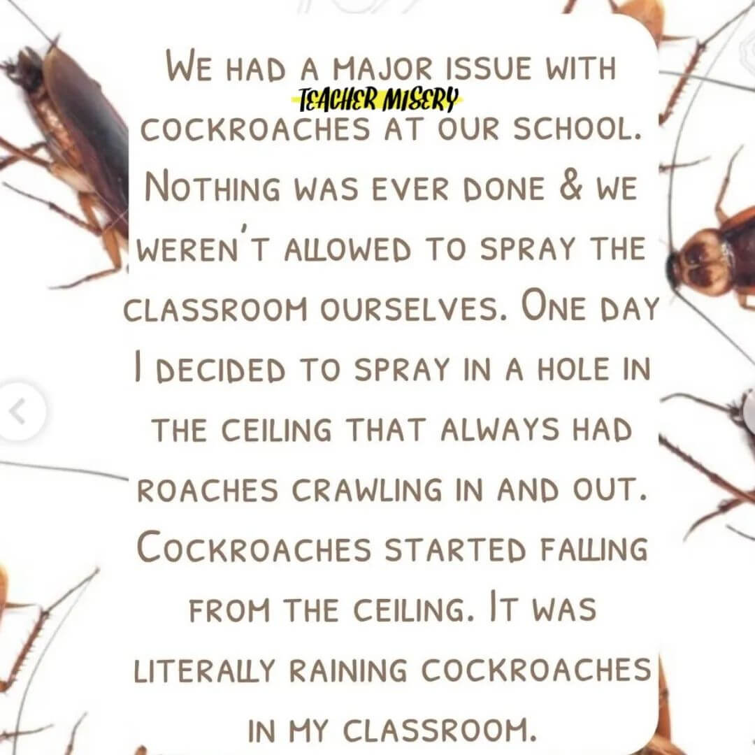 Teacher secret that reads - We had a major issue with cockroaches at our school. Nothing was ever done and we weren't allowed to spray the classroom ourselves. One day I decided to spray in a hole in the ceiling that always had roaches crawling in and out. Cockroaches started falling from the ceiling. It was literally raining cockroaches in my classroom.